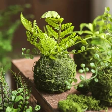 1/3 buc ghiveci elegant pentru briofite, bilă de mușchi, perfect pentru decorarea mesei, decorarea grădinii, amenajarea peisagistică microscopică, potrivit pentru plante de aer și granape.