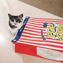 1pc Creatieve "Crispy Fresh" Papieren Popcorn Doos Papieren Zak Speelgoed, Geschikt Voor Katten En Honden - Karton, Stressverlichtend Puzzel Speelgoed, Geen Batterij Nodig, Binnen Katten Speelgoed