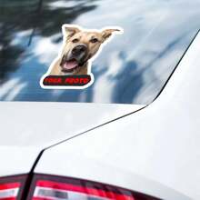 5 PIEZAS Calcomanías personalizadas con foto Pegatinas de vinilo personalizadas para coche, equipaje, computadora portátil - Resistente al agua, fácil aplicación - Ideal para accesorios de amantes de las mascotas - Material principal: PE (Polietileno)