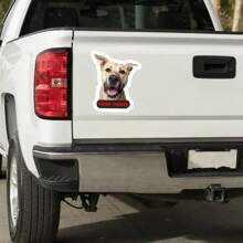 5 PIEZAS Calcomanías personalizadas con foto Pegatinas de vinilo personalizadas para coche, equipaje, computadora portátil - Resistente al agua, fácil aplicación - Ideal para accesorios de amantes de las mascotas - Material principal: PE (Polietileno)