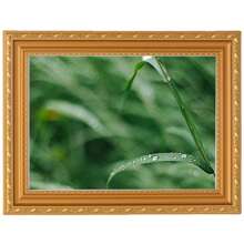 Een set van 9 foto's, 3 foto's x 6 inch fotolijst + 4 foto's x 8 inch fotolijst + 2 foto's x 10 inch fotolijst, gouden fotolijst fotowand, geschikt voor slaapkamer, woonkamer, cadeau voor papa, cadeau voor mama, cadeau voor vrienden, cadeau voor vriendin, cadeau voor vriendje,
