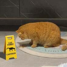1 pieza de señal divertida de gato vomitando, señal de advertencia de vómito de gato, señales de advertencia de vómito divertidas, regalos de broma lindos, decoración de escritorio novedosa impresa en 3D adecuada para el hogar, el exterior, la oficina y el aula, el mejor regalo para familiares y amigos