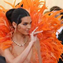 100PCS Rooster Tail Feathers 25-30cm /10-12 Inch Carnival Party Performances Stage Costume Decoration DIY Headwear Feathers Wedding Decoration Headwear Feathers - Multicolor - View 7