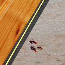 Tira de sellado de goma para puerta de garaje de 6 metros de color negro