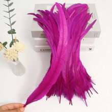 100PCS Rooster Tail Feathers 25-30cm /10-12 Inch Carnival Party Performances Stage Costume Decoration DIY Headwear Feathers Wedding Decoration Headwear Feathers - Multicolor - View 18