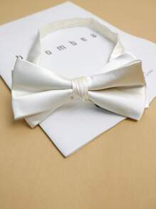 1 件纯色涤纶勃艮第黑色领结，适合婚礼，四季男士领带 - 彩色 - 查看 9