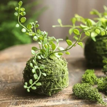 1/3 buc ghiveci elegant pentru briofite, bilă de mușchi, perfect pentru decorarea mesei, decorarea grădinii, amenajarea peisagistică microscopică, potrivit pentru plante de aer și granape.