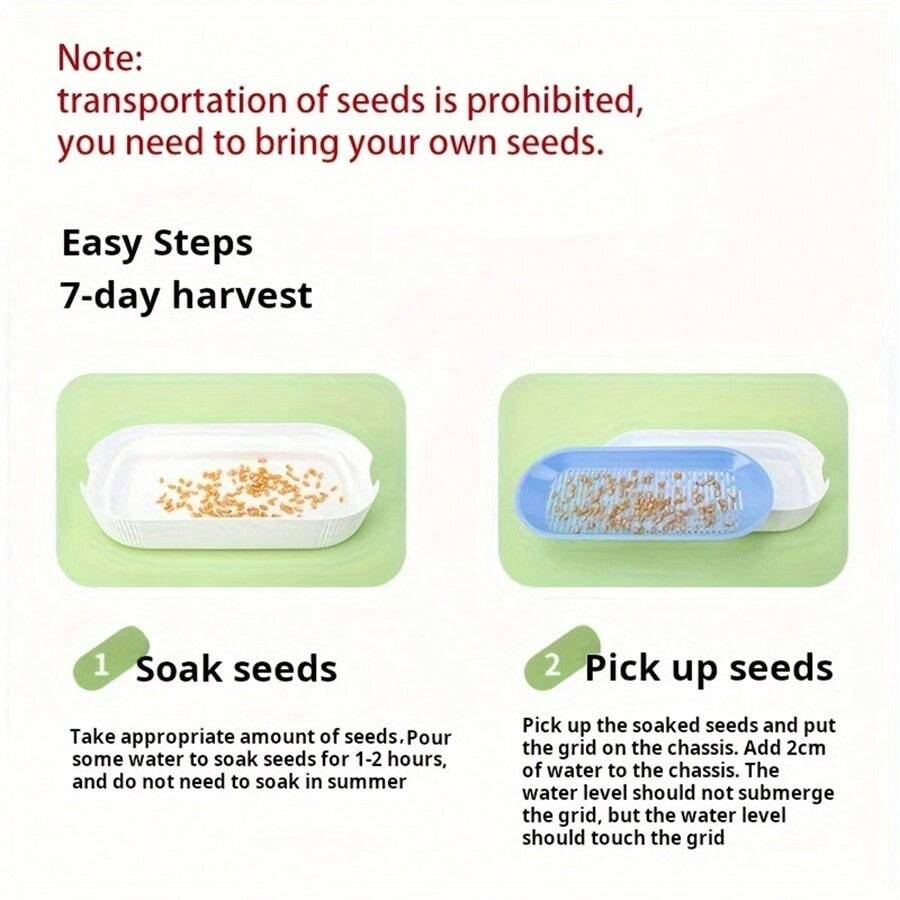 (Without Seeds) Cat Grass Planting Box, Planting Hydroponics Box ...