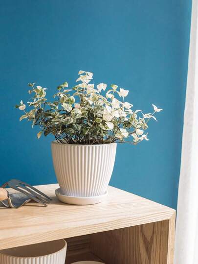 1 个带托盘的塑料花盆室内花盆，3 种不同尺寸的园艺容器现代装饰花盆