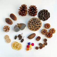 1 set van 5 stuks natuurlijke kaneel, anijs, citroen, chrysant, magnolia, goudsbloem, kumquat gedroogde bloemen voor geurverspreider, geschikt voor handgemaakte aromatherapiekaarsen, zepen, ambachtelijke decoratie