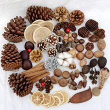 1 set van 5 stuks natuurlijke kaneel, anijs, citroen, chrysant, magnolia, goudsbloem, kumquat gedroogde bloemen voor geurverspreider, geschikt voor handgemaakte aromatherapiekaarsen, zepen, ambachtelijke decoratie