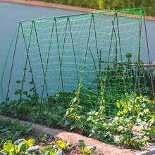Red de Escalada de Jardín de Alta Calidad, Enrejado de Nylon Fuerte para Plantas Trepadoras, Flores de Luffa, Morning Glory, Pepino - Verde - Ver 4
