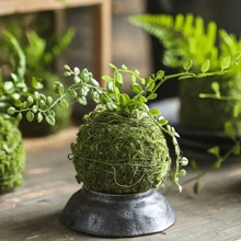 1/3 buc ghiveci elegant pentru briofite, bilă de mușchi, perfect pentru decorarea mesei, decorarea grădinii, amenajarea peisagistică microscopică, potrivit pentru plante de aer și granape.