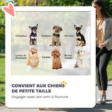 PawHut Poussette chien, poussette pour chien 4 roues, chariot pour chien, structure parapluie, légère, pliable, roues en EVA, sac de rangement, poussette chat charge 4 kg, gris clair - Gris - Voir 3