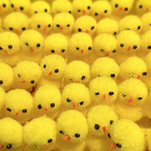12 pièces Poule de Pâques, environ 3,0 cm de hauteur, boules souples jaunes, poule de velours de Pâques, décoration de Pâques, cadeau de fête