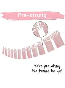 1st Birthday Photo Banner For Baby From Newborn To 12 Months, 1st Birthday Decorations Girl Monthly Milestones Garland | First Birthday Photo Banner Pre-Strung With Frame (Rose Gold)