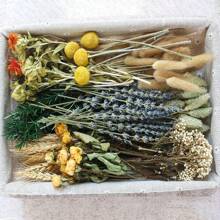 Set di fiori secchi, fiori secchi grandi, decorazioni autunnali, set di profumo floreali fai-da-te, ghirlanda da appendere alla parete, decorazioni da tavolo, mini regali di fiori secchi per compleanni e lauree, decorazioni da giardino, piante da esterno, giardinaggio, fiori finti, decorazioni autunnali