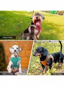 2pcs/Set Reflective Cat Dog Leash And Harness Set - Comfortable, Breathable Mesh Vest With Padded Nylon Lead For Small To Medium Breeds Pet Collars - No-Choke Design With Dual D-Ring