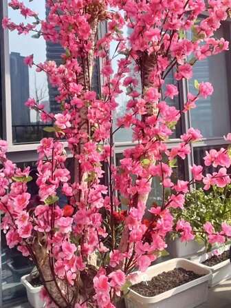 1/5/10 piezas de Flores de Cerezo Artificiales - Flores de Sakura Falsas - Para Aniversario, Boda, Decoración del Hogar en Diversos Entornos - Regalo Perfecto para Entusiastas de la Decoración del Hogar Decoración Primaveral