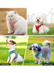 2pcs/Set Reflective Cat Dog Leash And Harness Set - Comfortable, Breathable Mesh Vest With Padded Nylon Lead For Small To Medium Breeds Pet Collars - No-Choke Design With Dual D-Ring