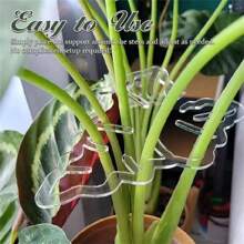 Plant Stands Of Various Shapes; Plant Stands, Plant Support Stands, Flower-Shaped Plant Support Poles For Indoor And Outdoor Plant Growth; Large Monstera Support Stand Plastic Garden Tools, Summer, Plastic Plant Stands For Indoor And Outdoor Climbing Plants.