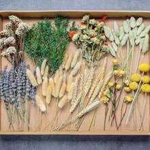 Set di fiori secchi, fiori secchi grandi, decorazioni autunnali, set di profumo floreali fai-da-te, ghirlanda da appendere alla parete, decorazioni da tavolo, mini regali di fiori secchi per compleanni e lauree, decorazioni da giardino, piante da esterno, giardinaggio, fiori finti, decorazioni autunnali