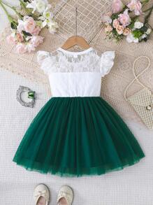 女童优雅蕾丝网眼圆领短款盖袖连衣裙，面料舒适，夏季新品 - 綠色 - 查看 3