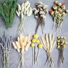 Set di fiori secchi, fiori secchi grandi, decorazioni autunnali, set di profumo floreali fai-da-te, ghirlanda da appendere alla parete, decorazioni da tavolo, mini regali di fiori secchi per compleanni e lauree, decorazioni da giardino, piante da esterno, giardinaggio, fiori finti, decorazioni autunnali