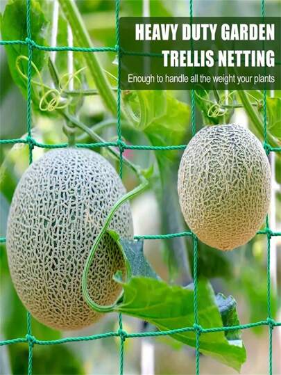 [ Green Net For Climbing] Heavy PP Garden Grid Net For Climbing Plants - Green Support Net For Vegetables, Cucumbers, Tomatoes, Beans, Grapes And Flowers - Outdoor And Indoor Plant Growth Scaffolding Net