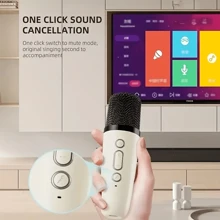 Karaoke Speaker With Microphone Set, Small Speaker, Home Karaoke Machine, In Pink, Blue, And White Colors, Comes With 2 Microphones, Portable Handheld Karaoke Microphone Speaker