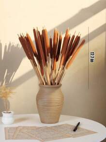 10PCS Dried Natural Brown Cattails Flowers -Real Broadleaf Pencil Cattail Stems Bundles, 17'' Bulrush Plants Dry Flower For DIY Floral Arrangements, Wedding Home Office Gardens Decor Spring Decorations