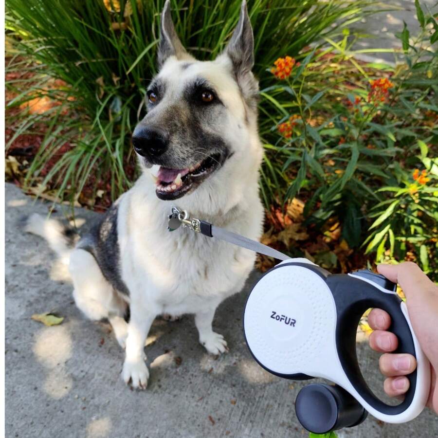 Zofur Premium Retractable Dog Leash - 26 Ft, Heavy-Duty For Dogs Up To 110 Lbs