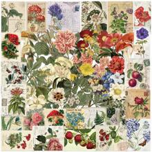 50 stuks Retro Planten Stickers Pakket | Western Stickers, Hoge Kwaliteit Stickers Voor Scrapbook, Graffiti Sticker, Dagboek, Laptop, Bumper, Skateboard, Waterflessen, Computer, Cartoon, Bouwhelm, Autostickers, Stickers Kunnen Veel Plezier In Je Leven Brengen, Het Perfecte Cadeau Voor Volwassenen