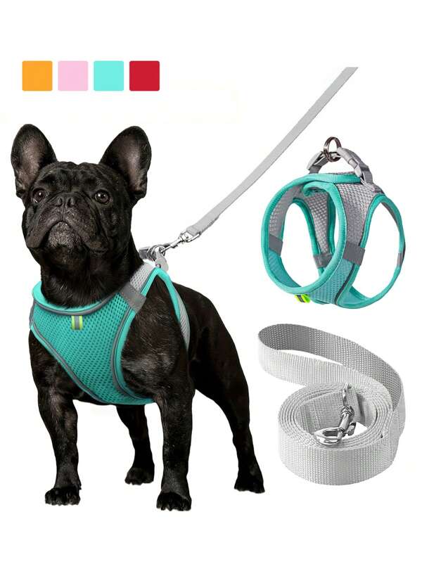 2pcs/Set Reflective Cat Dog Leash And Harness Set - Comfortable, Breathable Mesh Vest With Padded Nylon Lead For Small To Medium Breeds Pet Collars - No-Choke Design With Dual D-Ring