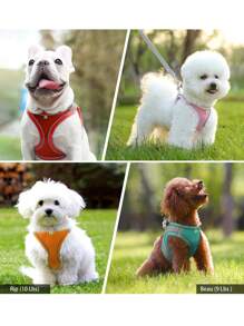 2pcs/Set Reflective Cat Dog Leash And Harness Set - Comfortable, Breathable Mesh Vest With Padded Nylon Lead For Small To Medium Breeds Pet Collars - No-Choke Design With Dual D-Ring