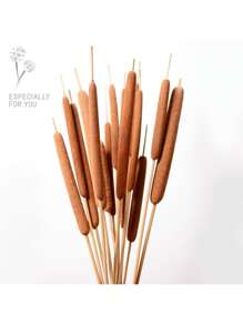 10PCS Dried Natural Brown Cattails Flowers -Real Broadleaf Pencil Cattail Stems Bundles, 17'' Bulrush Plants Dry Flower For DIY Floral Arrangements, Wedding Home Office Gardens Decor Spring Decorations