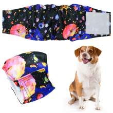 3 stuks luiers voor mannelijke honden, herbruikbare broekjes voor honden, wasbare buikband voor huisdieren, ondergoed voor puppy's, luiers voor huisdieren