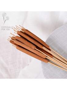 10PCS Dried Natural Brown Cattails Flowers -Real Broadleaf Pencil Cattail Stems Bundles, 17'' Bulrush Plants Dry Flower For DIY Floral Arrangements, Wedding Home Office Gardens Decor Spring Decorations