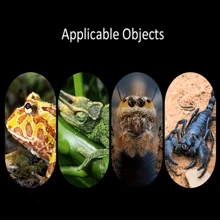 1pc Reptile Hammock Climbing Toy,Linen Reptile Hammock, Comfortable Lizard Lounger Climbing Toy, For Bearded Dragons And Other Reptiles, With Hermit Crab And Small Animal Hanging Bed,Natural Rattan Woven Hammock Mat For Reptiles And Small Pets