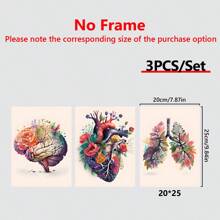 3 件现代艺术帆布墙饰套装 - 带花卉装饰的解剖心脏、大脑和肺，帆布水彩画，适用于客厅、卧室、家庭办公室 - 帆布画（带框）礼物生日毕业 - 多色 - 查看 17