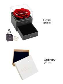 1 件 S925 纯银和皇冠旋转诞生石项链，适合女士，情人节、订婚、求婚的优雅奢华礼物，附精美礼盒 - 項鍊 - 查看 11