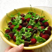 30 piezas de fresas de plástico artificiales de color rojo cereza con cuentas de vidrio y espuma realistas para decoración de hogar, cocina, fiesta y utilería de fotografía