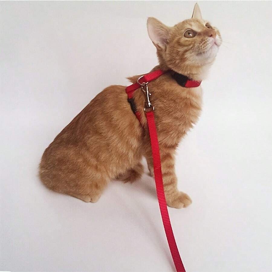 猫牵引绳 - 舒适的户外猫散步背带套装 - 适合迷你犬,交叉猫牵引绳 - 猫背带 - 彩色 - 查看 1