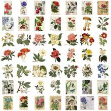 50 stuks Retro Planten Stickers Pakket | Western Stickers, Hoge Kwaliteit Stickers Voor Scrapbook, Graffiti Sticker, Dagboek, Laptop, Bumper, Skateboard, Waterflessen, Computer, Cartoon, Bouwhelm, Autostickers, Stickers Kunnen Veel Plezier In Je Leven Brengen, Het Perfecte Cadeau Voor Volwassenen