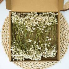 1 Box Natural Preserved Baby's Breath Flowers - Elegant Everlasting Baby's Breath Suitable For Home, Office, Wedding, Christmas, Halloween Parties, DIY Crafts, Maintenance-Free, For Ages 14+ Gifts Birthday Graduation