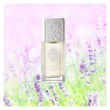 Eau De Parfum Spray 3.4 Ounce / 100 Ml For Women, 3.4 Fl Ounce