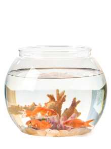 1 件透明亚克力水族箱鱼缸，客厅桌面微景观装饰，家用斗鱼鱼缸