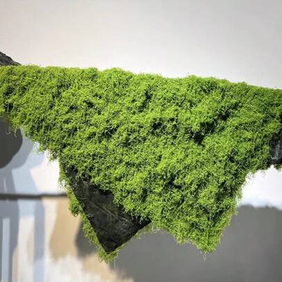 1pc Silk-Like Moss Lawn, Artificial Woolly Moss Mat, Square Fake Grass Mat, Fake Moss, Grass Turf, Decorative Green Moss Miniature Landscape, DIY Lawn, Outdoor Garden Decor, For Events, Parties, Weddings