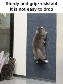 1 PC Kattenkrabmat is stevig, krasbestendig, laat geen vuil vallen Bescherming, de bank kan gemakkelijk worden geknipt en geplakt, de kattenkrabmat is ademend, slijtvast, krasbestendig, kan op de muur worden geplakt, uitstekend materiaal, zwart, beige, donkerblauw 3 kleuren kunnen kiezen Eenvoudig ontwerp