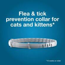 Flea & Tick Prevention Collar For Cats, 8-Month Protection, Vet-Recommended